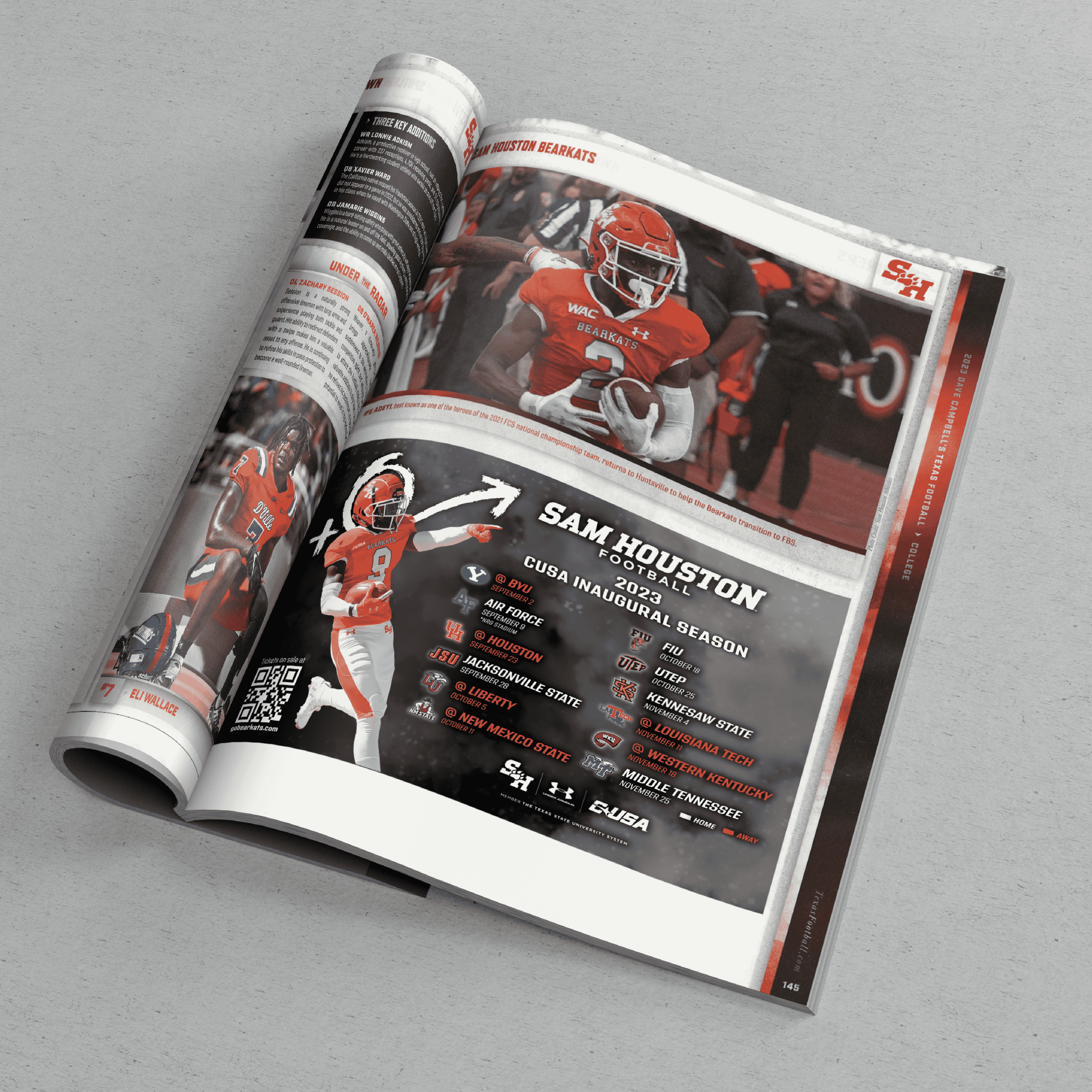 portfolio